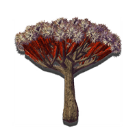 succulent_tree_NMS.png