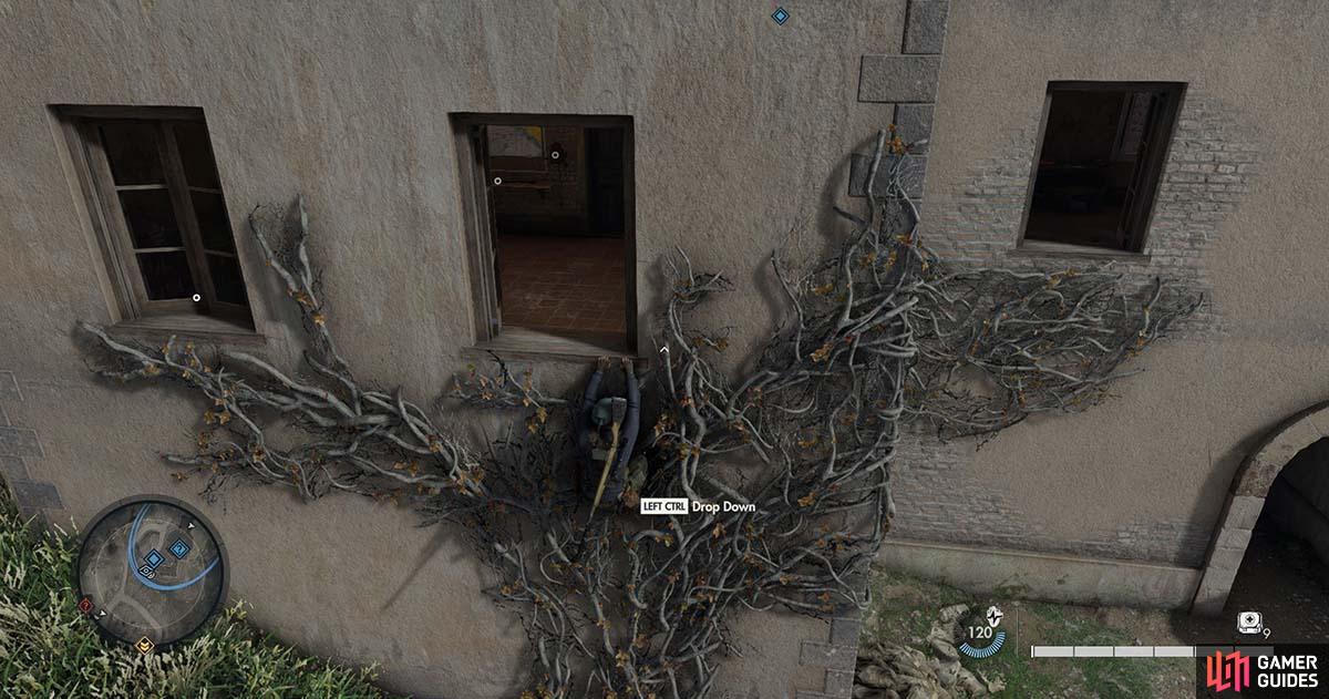 You’ll need to use the vines to climb through the window to reach the room.