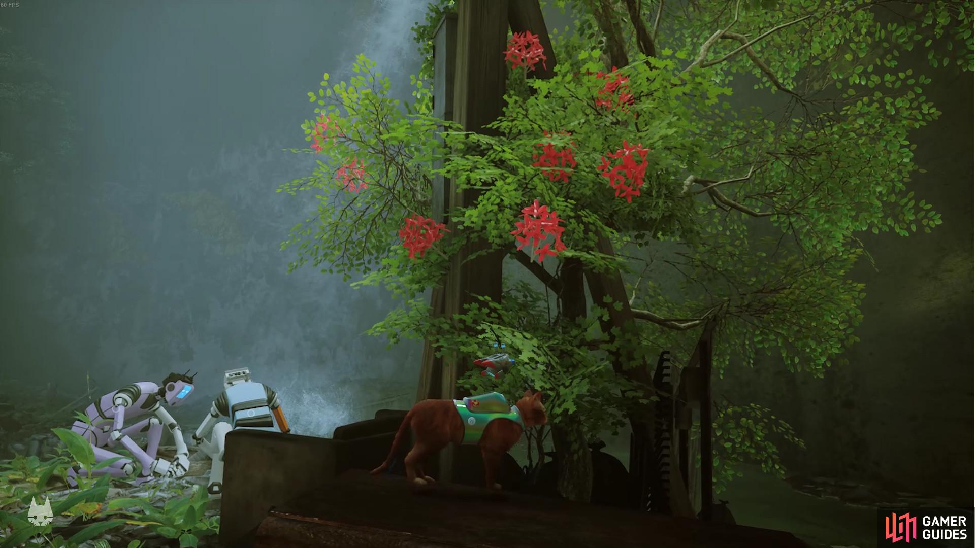 The red flower tree is by the sewage water.