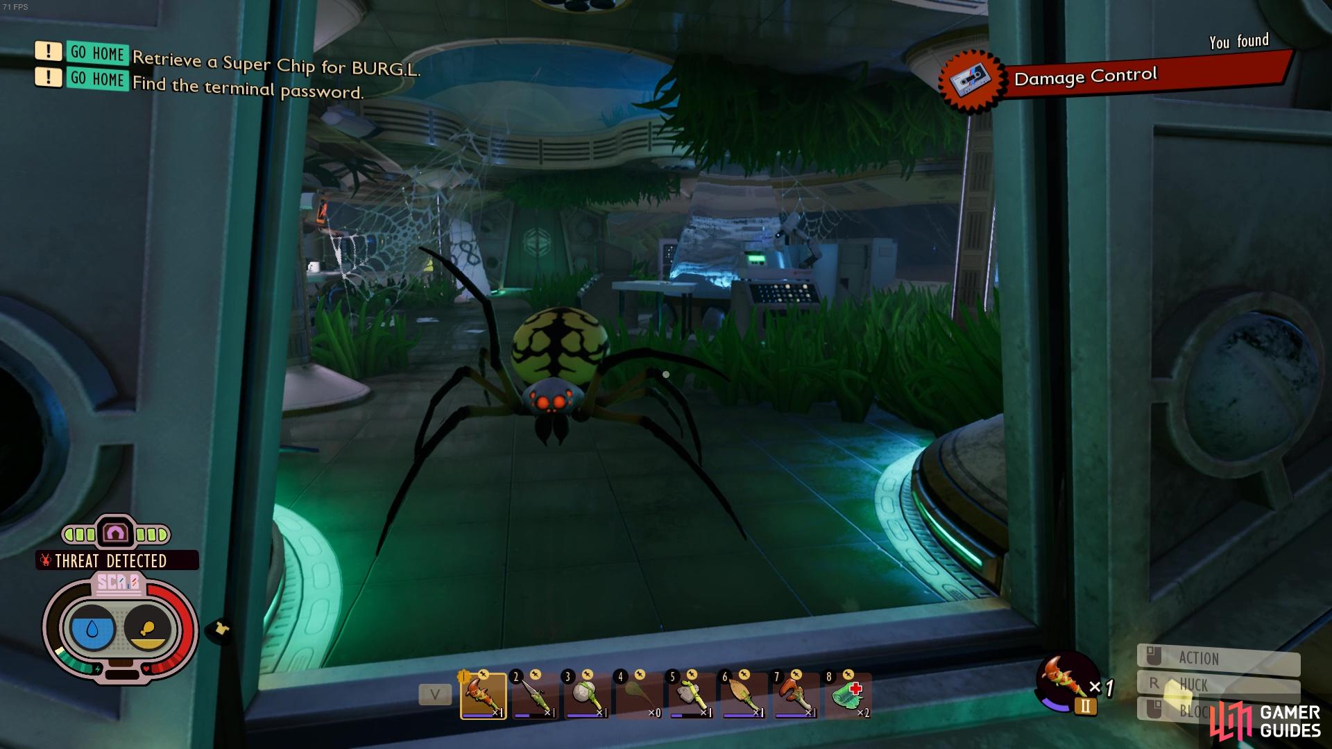 If you’ve been avoiding the big spiders, I’m afraid it’s now time to face your fears!
