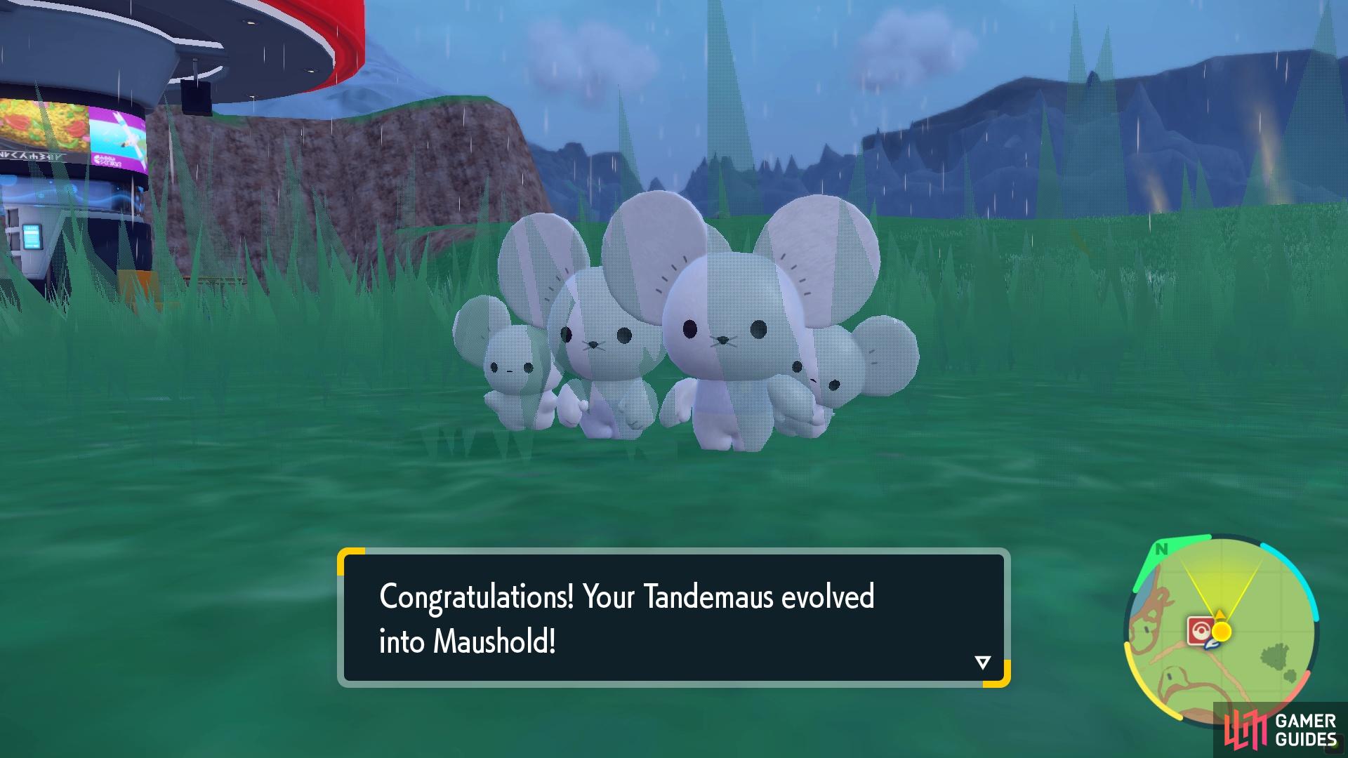Maushold is evolved from Tandemaus.