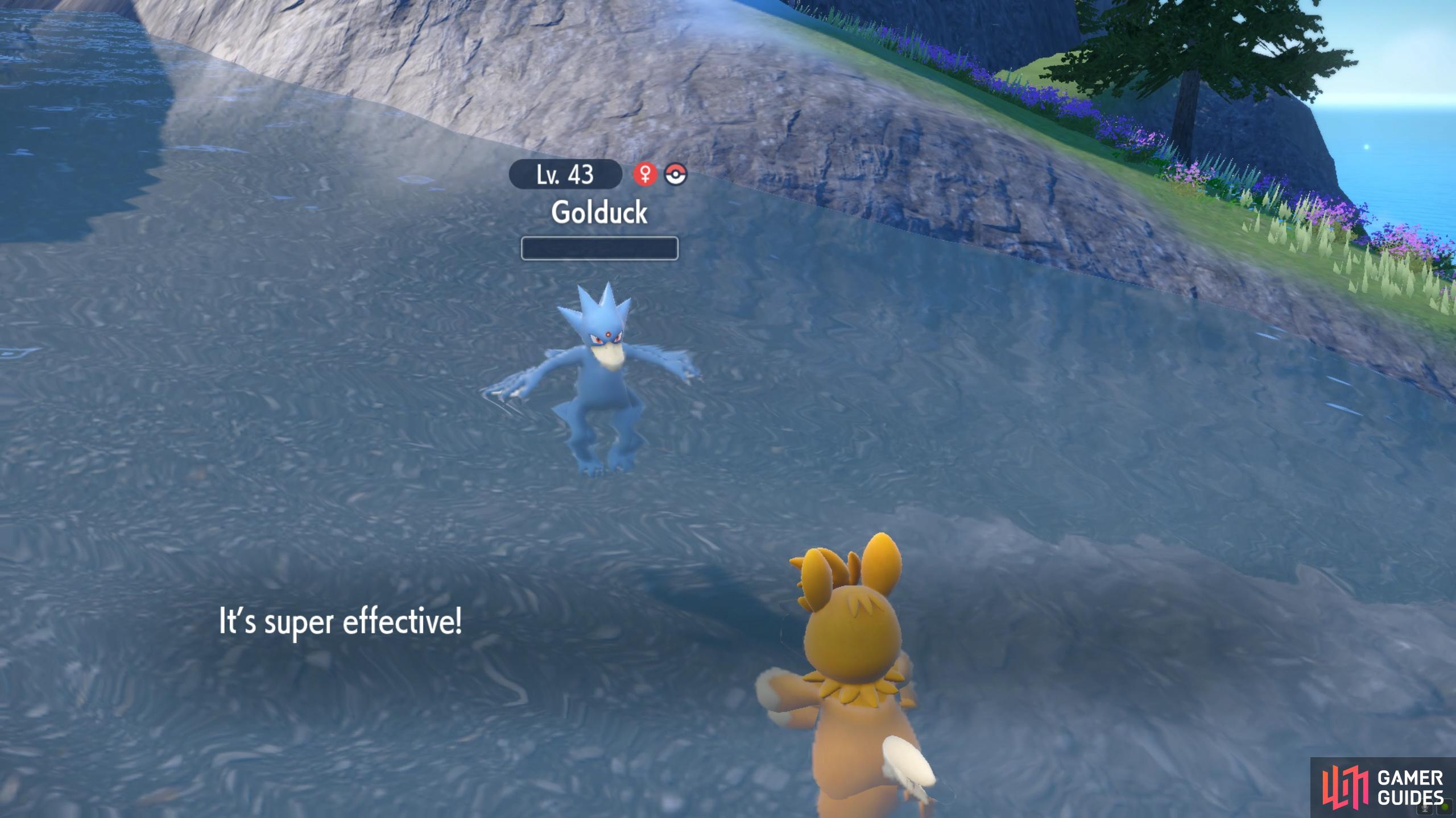 Pokémon 5e Nature - Chartopia