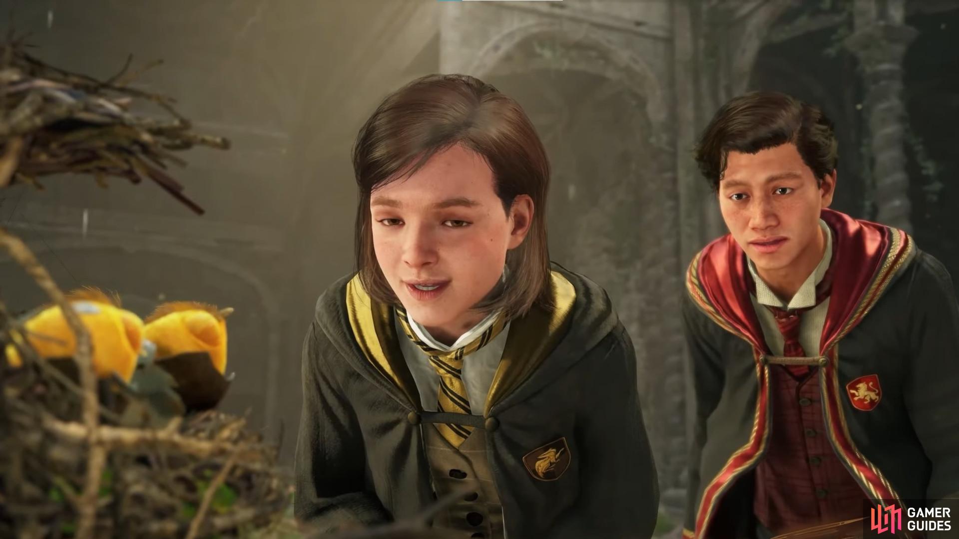 Here’s a closer look at the Hogwarts Legacy Companions and how the feature works. Image via Warner Brothers.