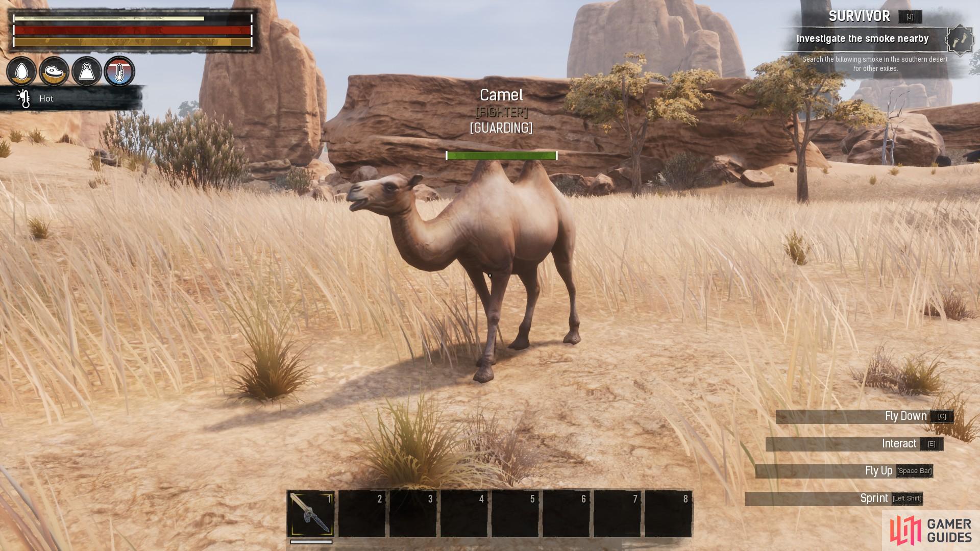 A Pet Camel can follow along behind you carrying items.