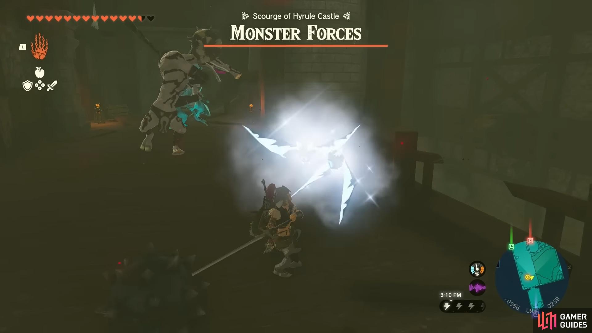 The fifth !Hyrule Castle Monster Forces battle containing !Ice Keese and a !Silver Moblin