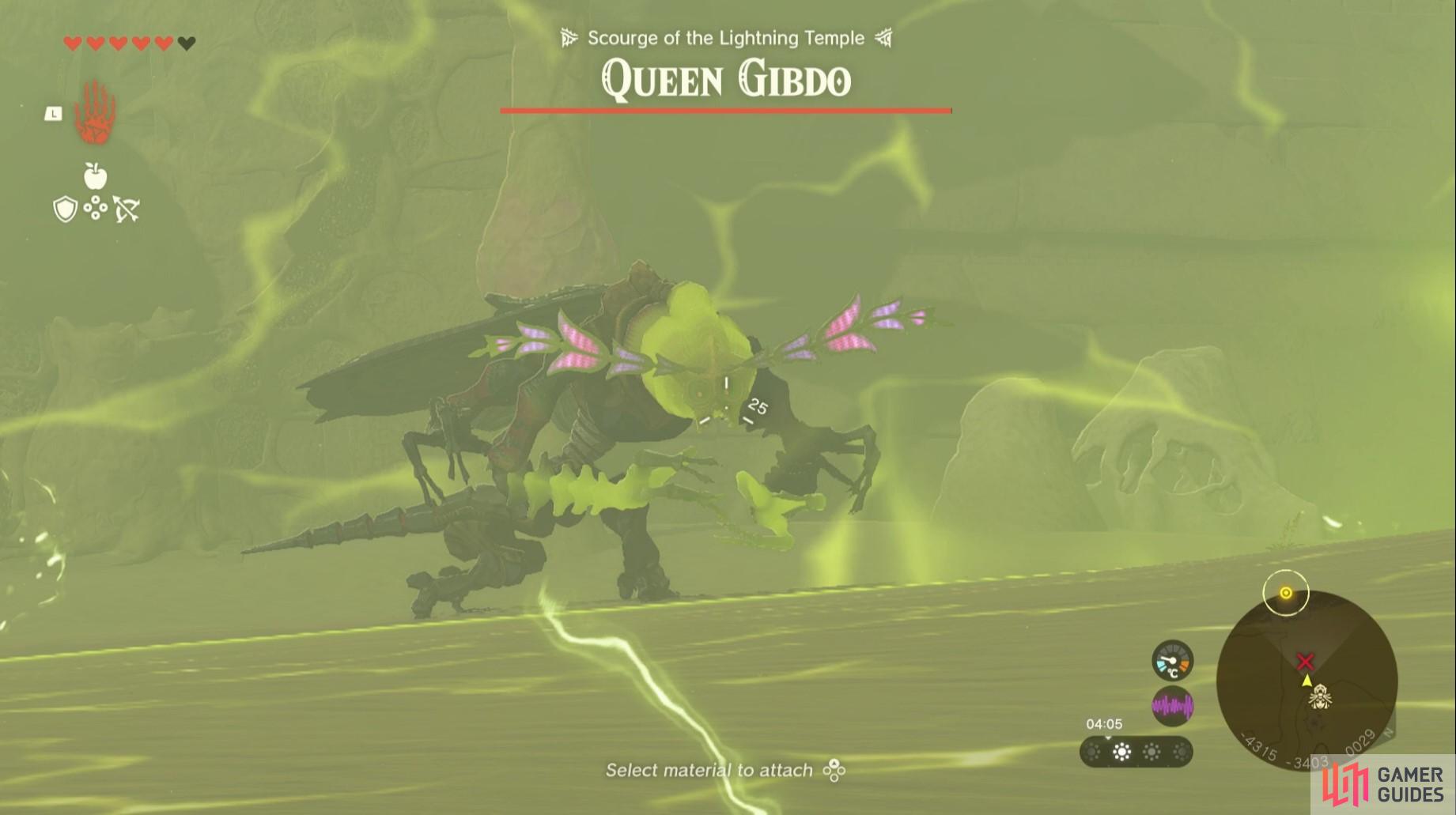 Shoot the !Queen Gibdo whilst she’s in the lightning field. 