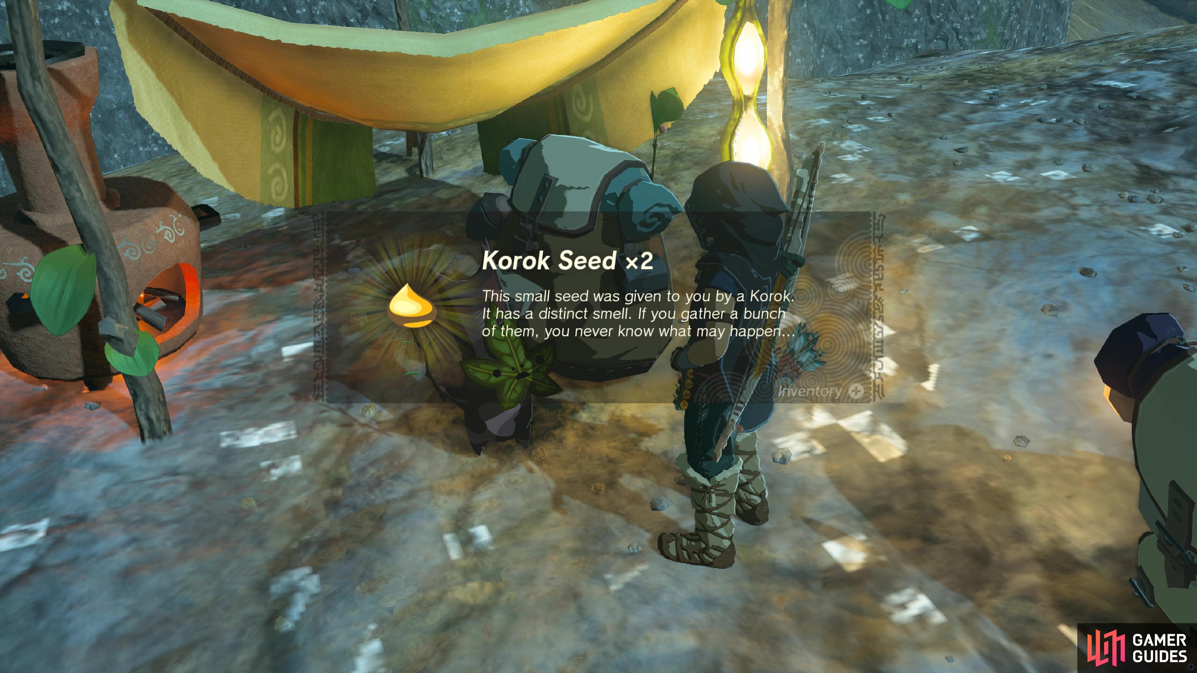 You can obtain Korok Seeds by completing puzzles.
