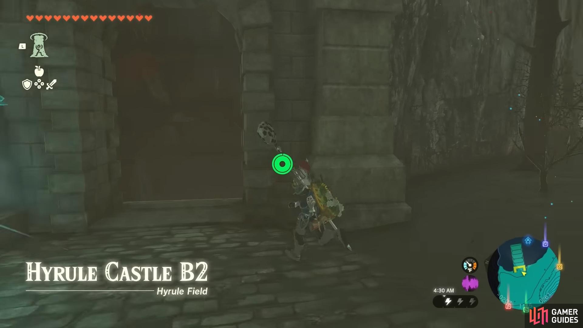 The Hyrule Castle Library entrance point