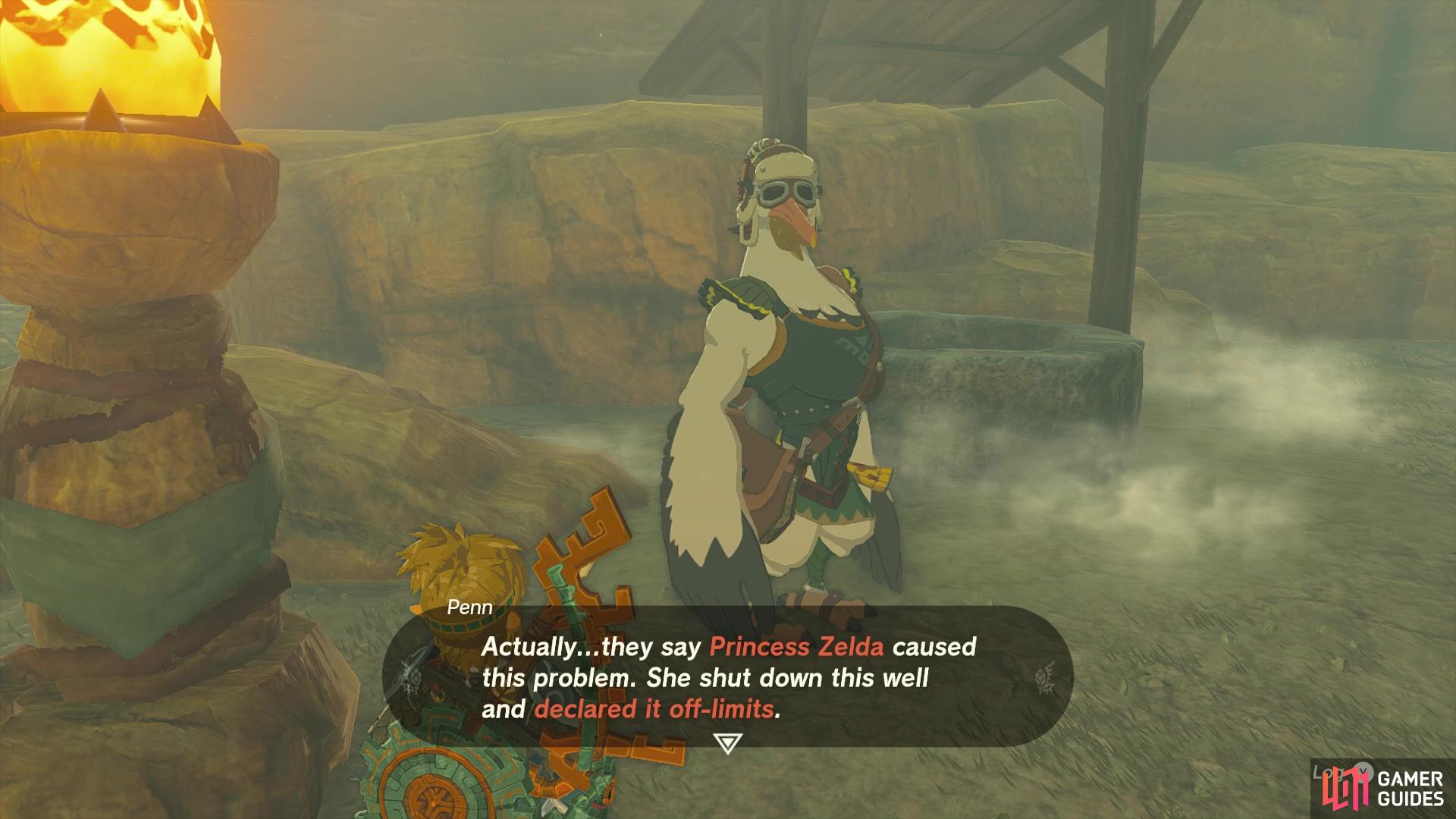 The well is off-limits on Zelda’s orders. 