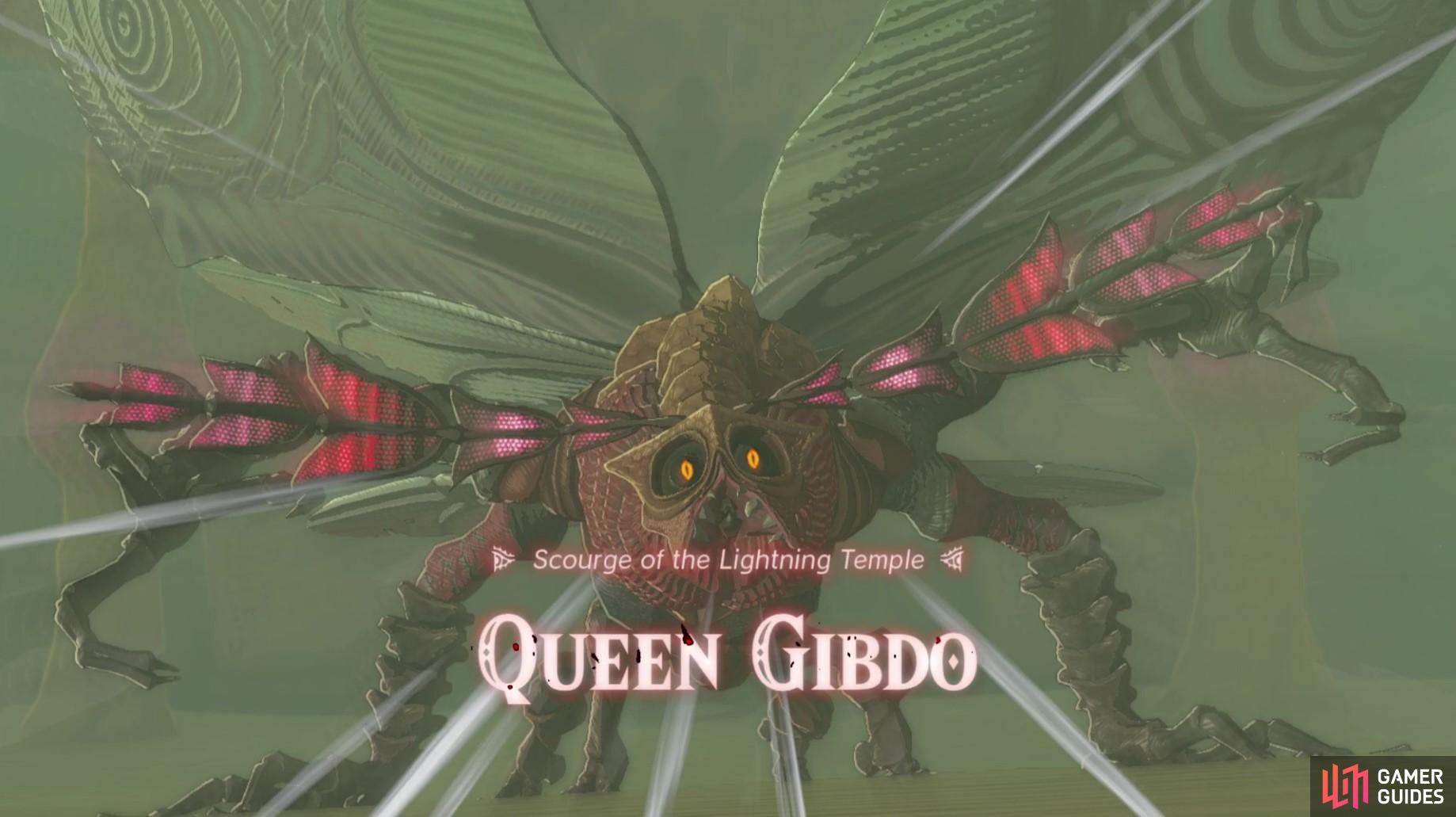 Before you can get into the Lightning Temple, you’ll need to fight Queen Gibdo!