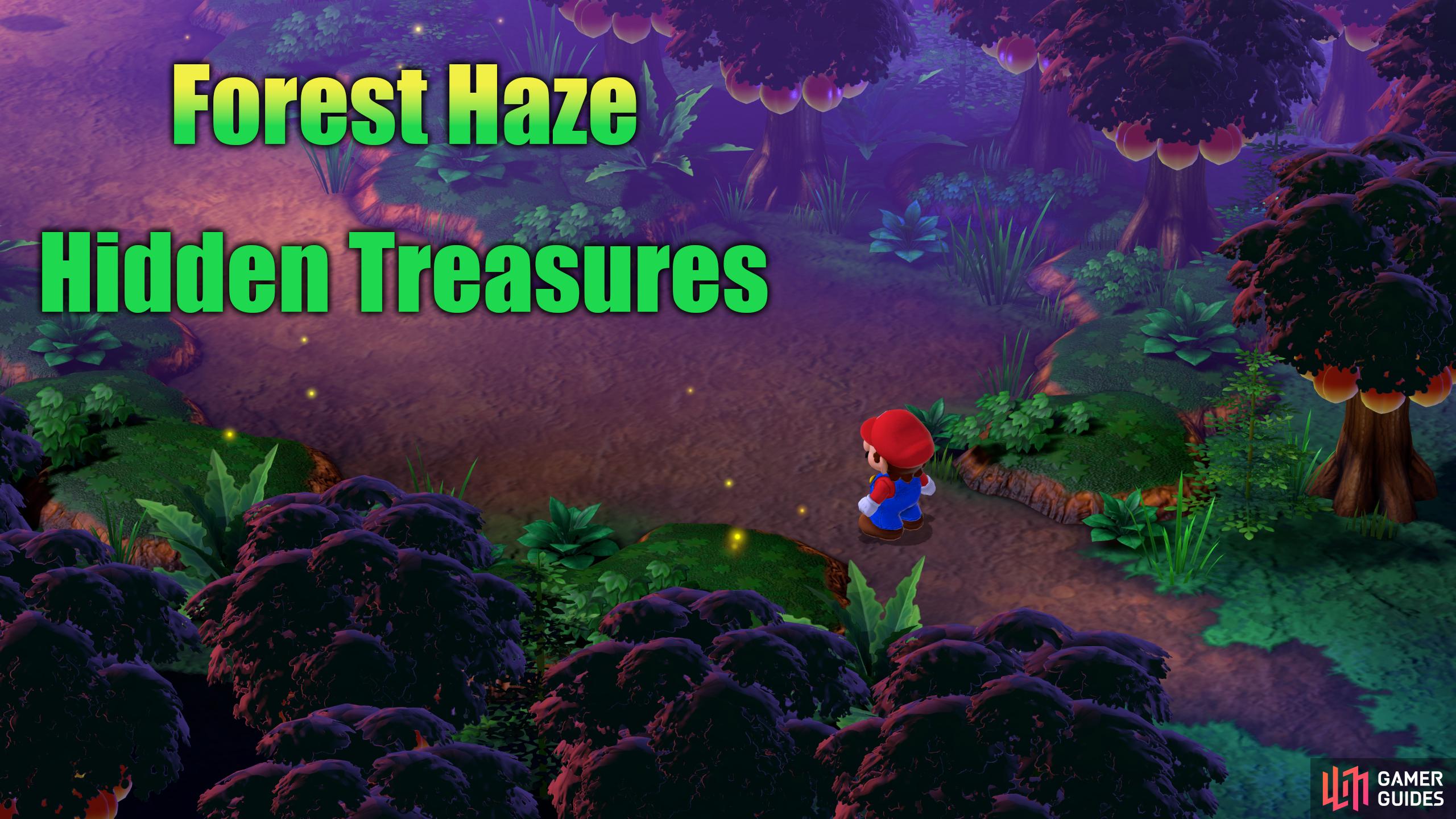 There are six hidden treasures in the Forest Haze zone.