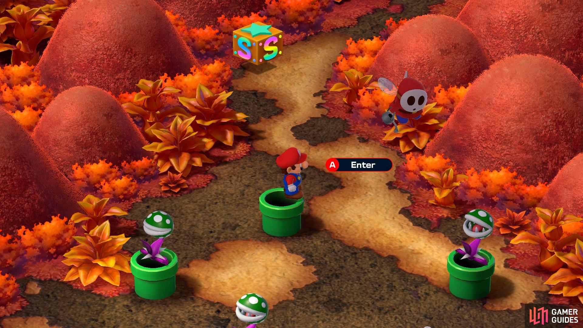 Defeat the Piranha Plant and use the pipe to enter the sewer area.