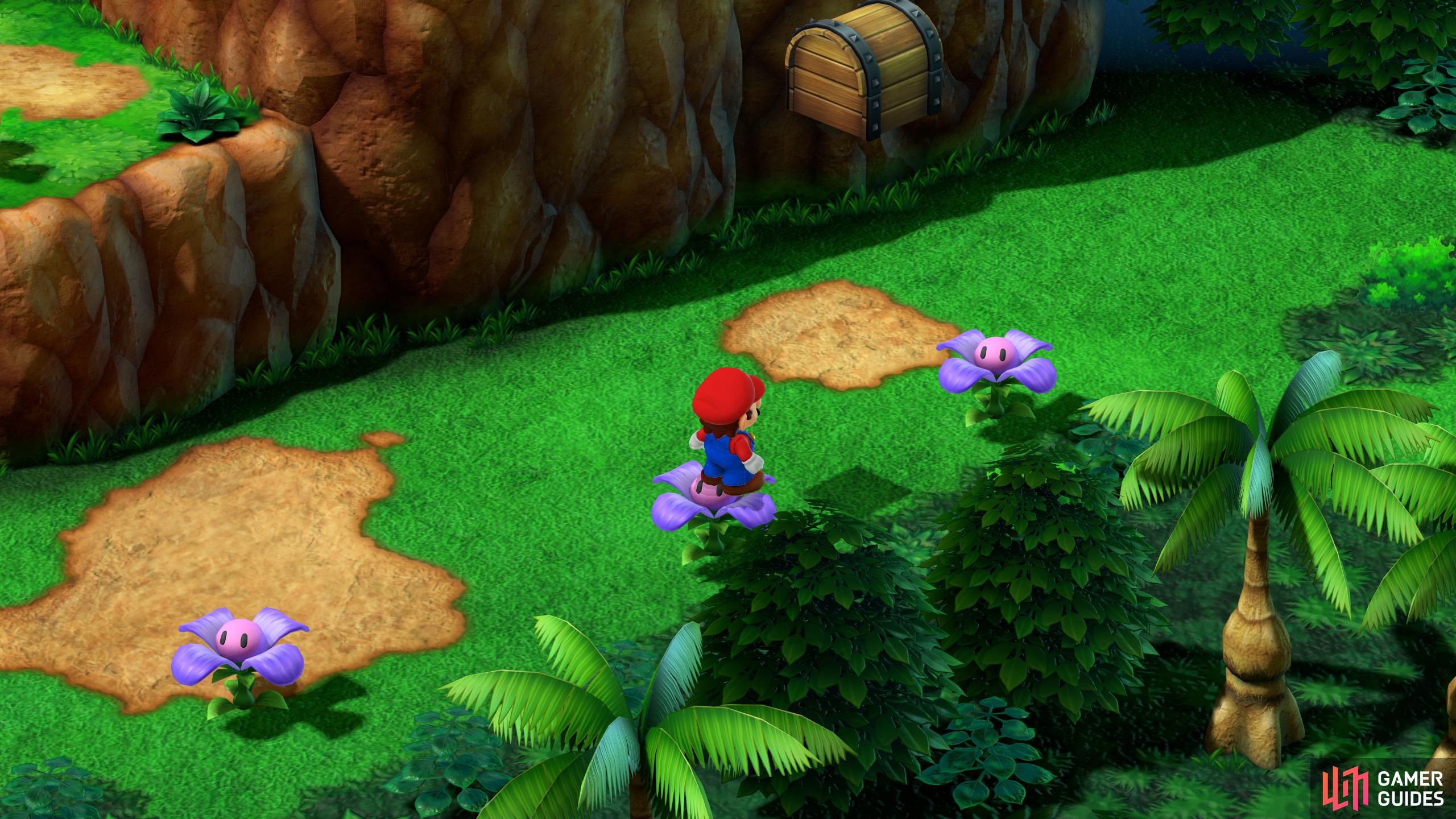 Hidden Treasure 3: In the grassy area, head east, and jump on the second purple flower. From there, jump across to the third purple flower to get the chest.