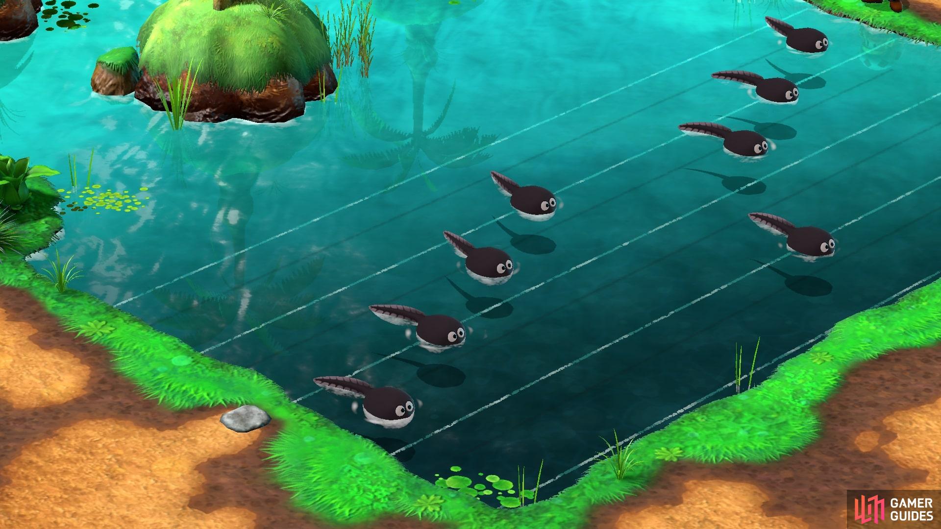This is the order the tadpoles need to be in to complete the Monstro Town Melody.