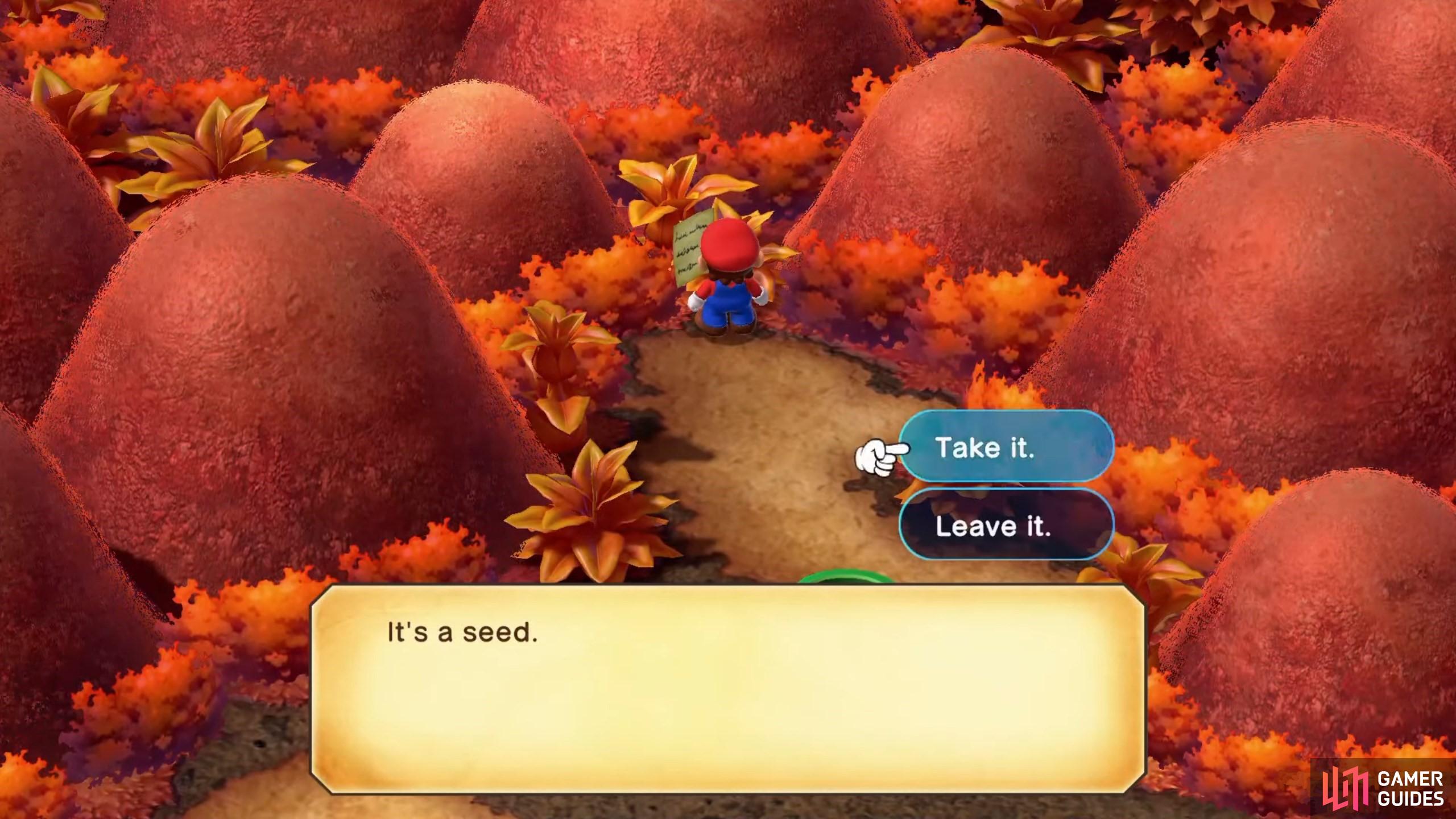 The Seed can be obtained from the floating note after the boss fight.