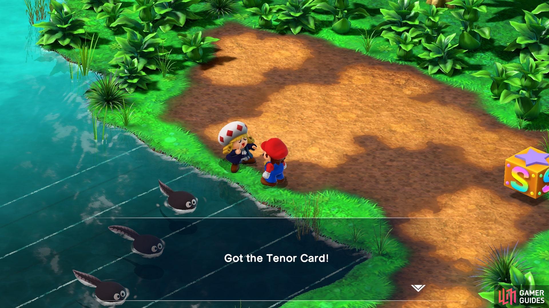 Once you finish Toadofsky will give you the Tenor Card.