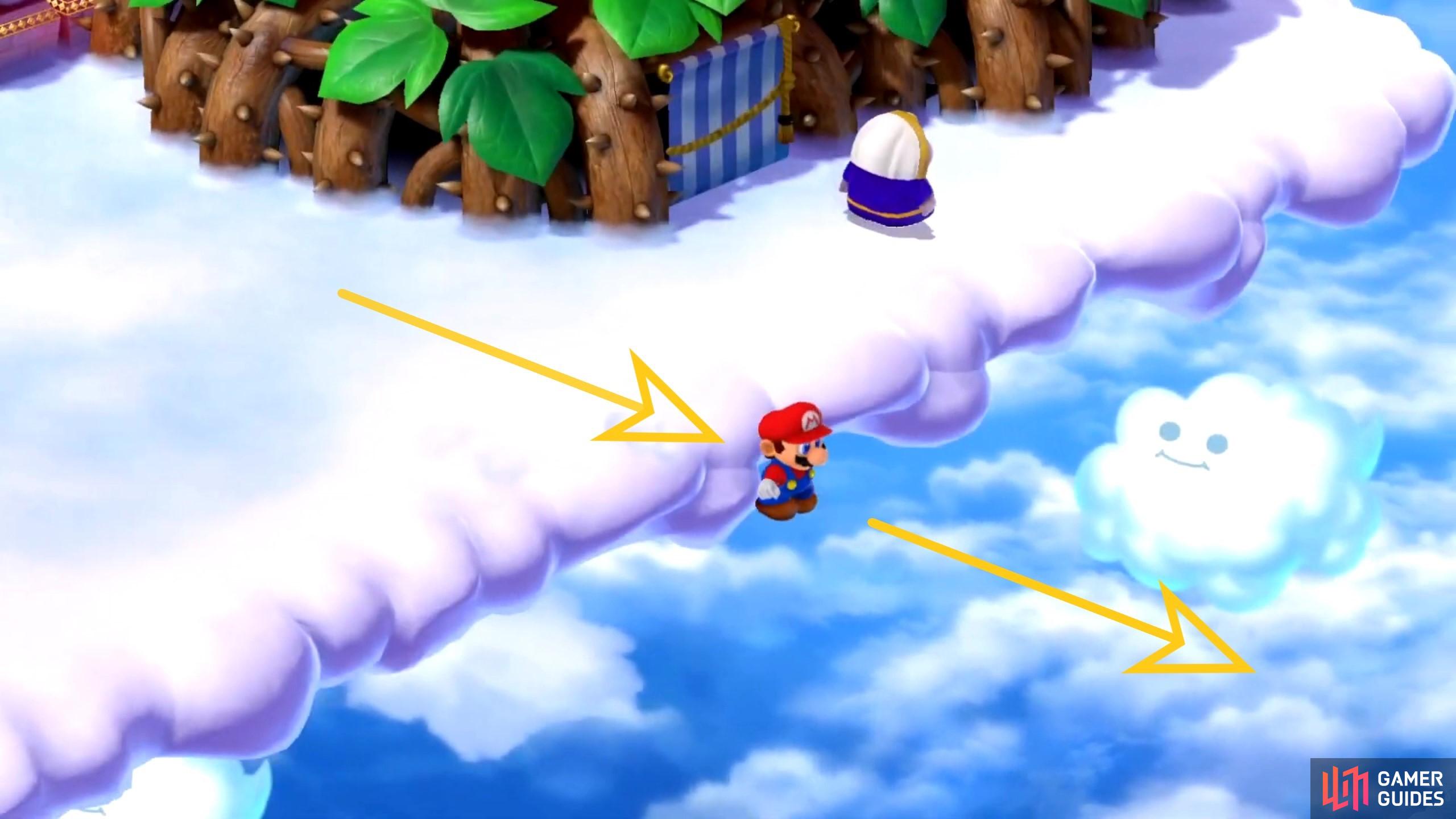 Head exactly to reveal a secret invisible path to the Shy Guy with the Fertilizer!