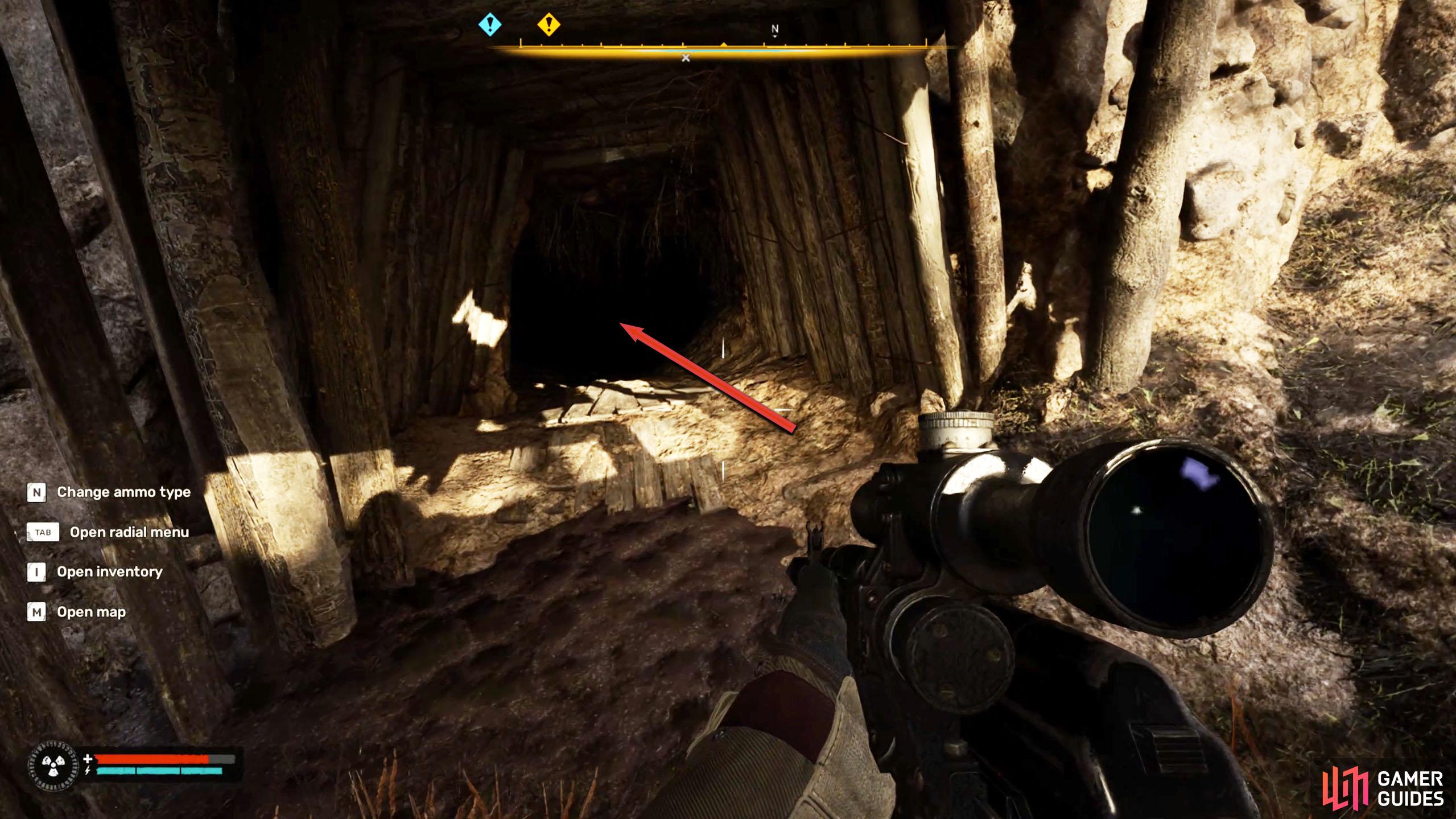 Underneath it, you’ll find a tunnel entrance to the right.