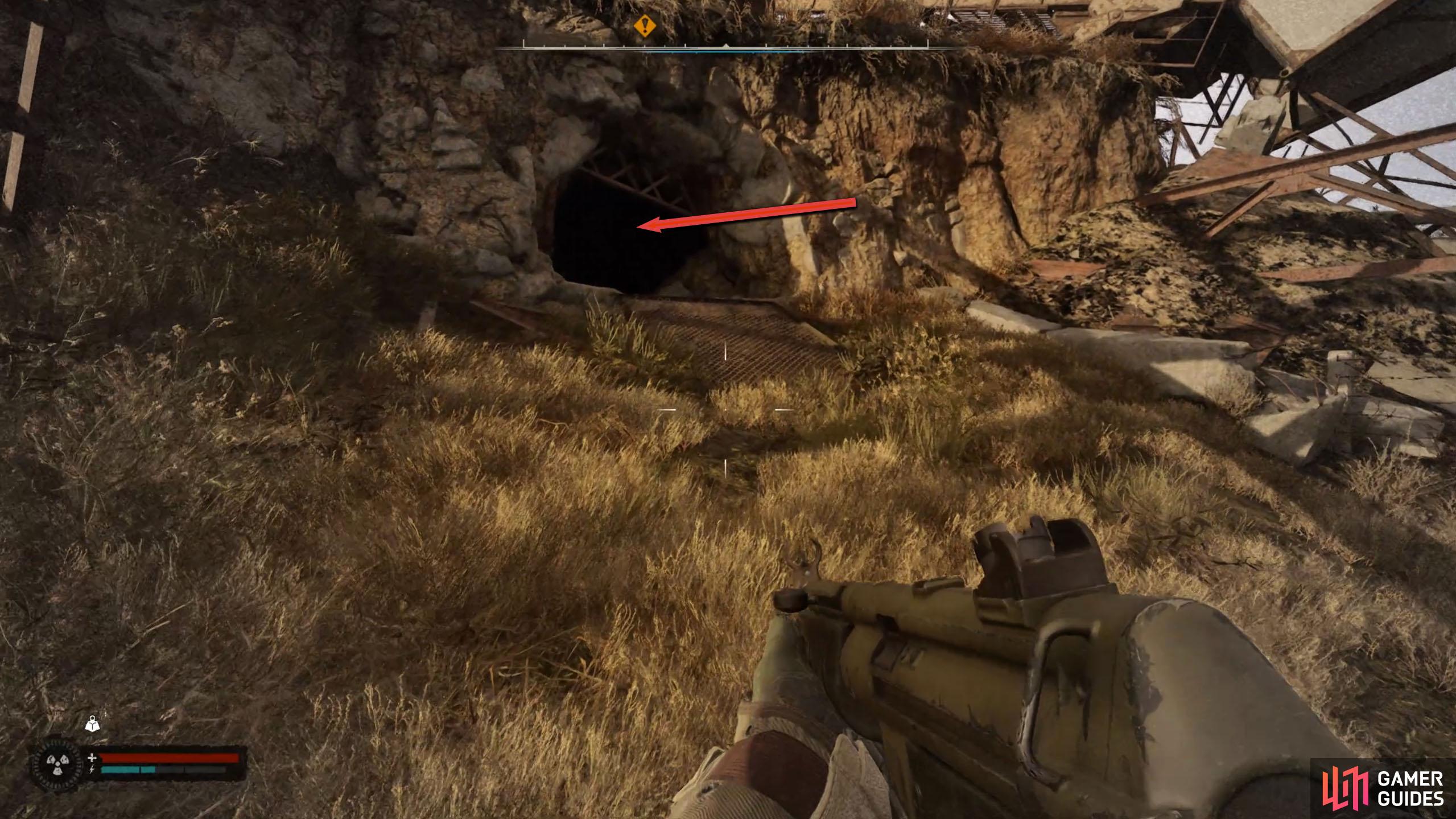 Continue around the path until you reach another tunnel. This time, go in, and drop.