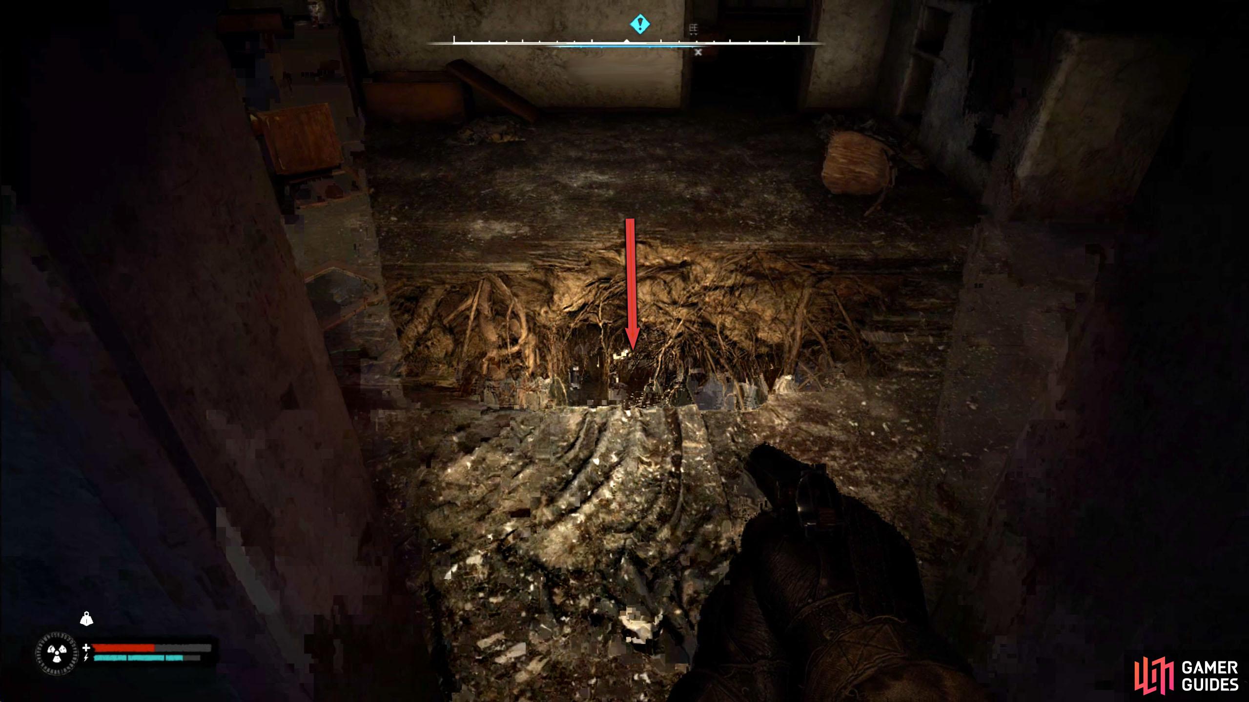 Inside, drop the hole and follow the tunnels.