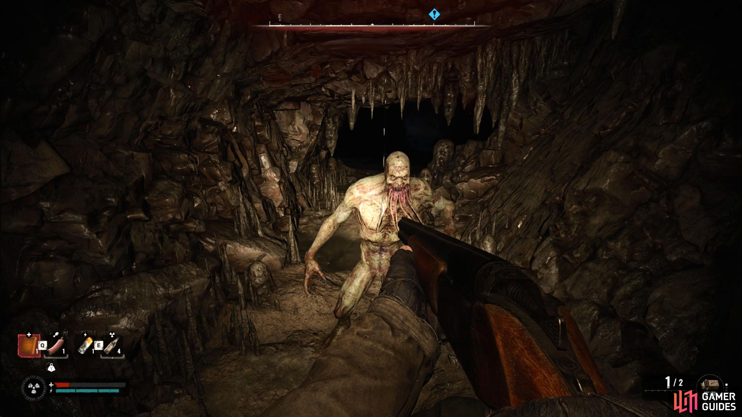 Defeat the invisible mutant inside the cave. Shotgun works well here.