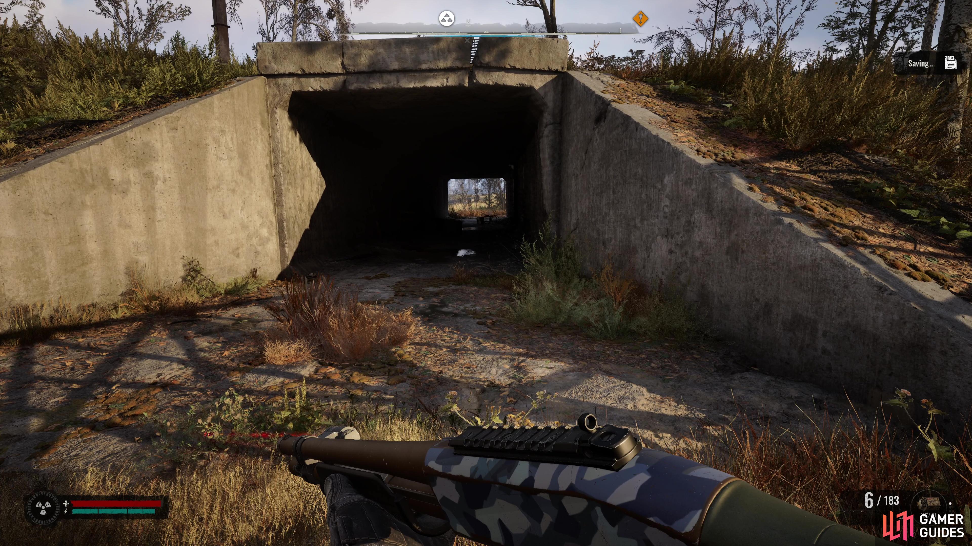 Look for this tunnel.