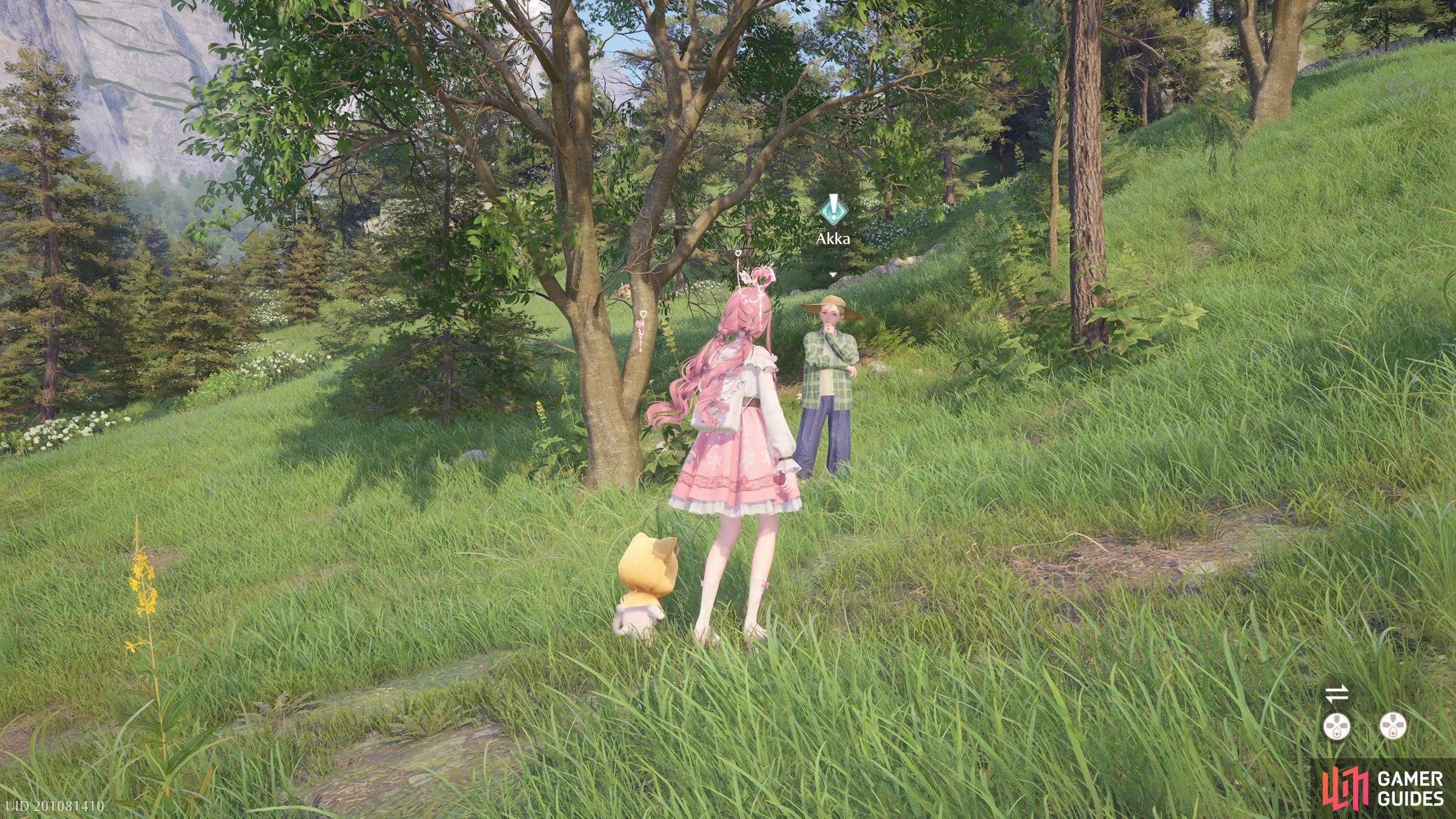Speak with Akka near the Shepherd’s Cottage to begin this quest.