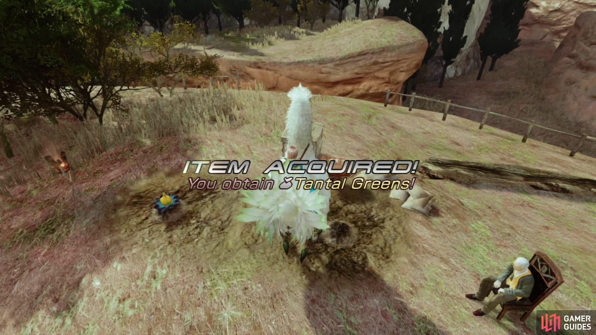 Tantal Greens can be used to heal the Chocobo or sold for profit.
