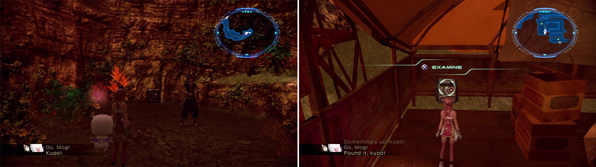 Picture Frame Location (left). Bulb of Hope Location (right).
