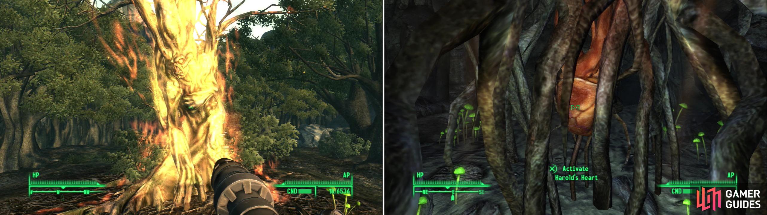 Either give Harold his release in a manner most befitting a talking piece of wood (left), or venture into the abandoned mines under Oasis to find his heart (right).