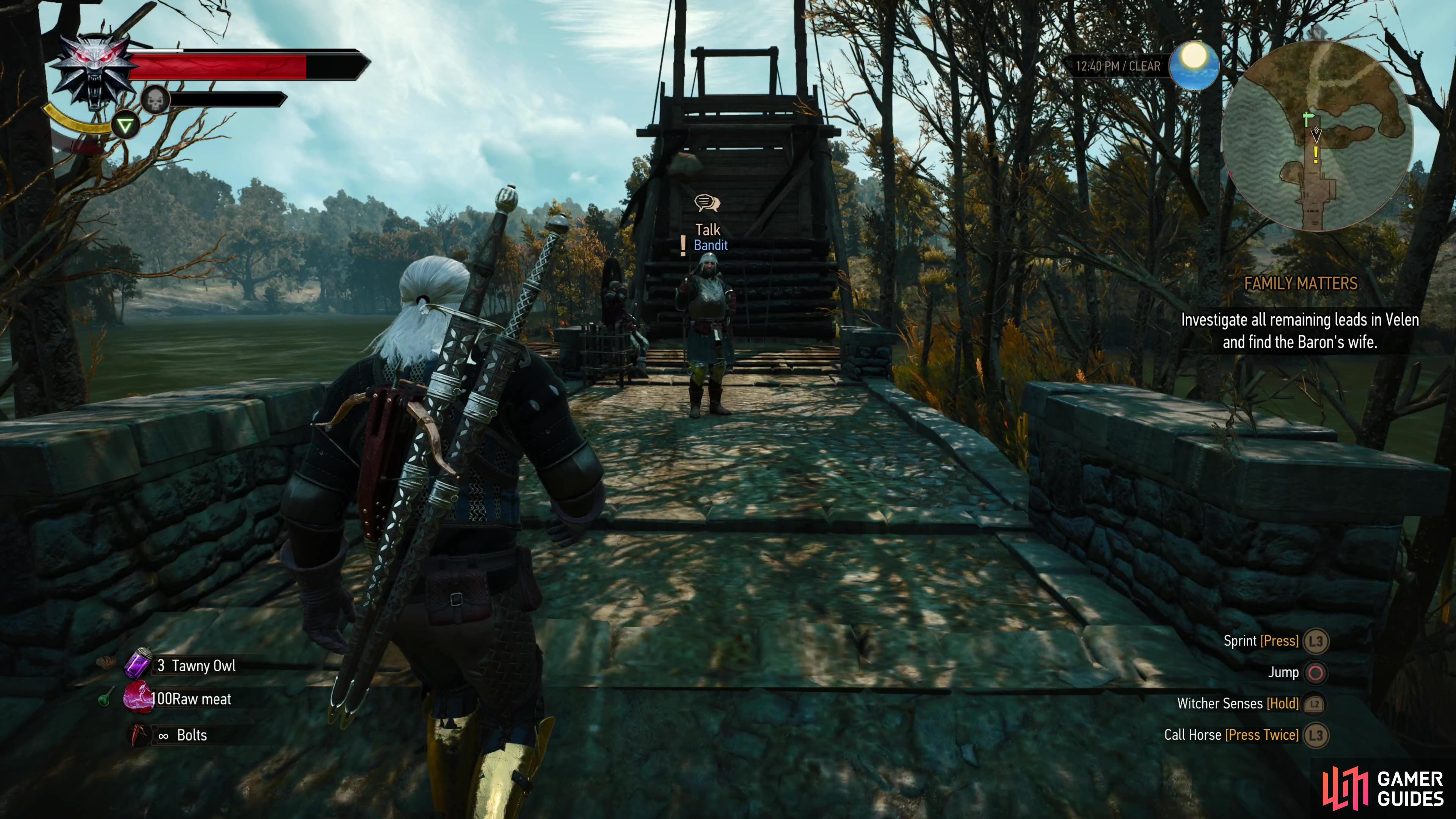 Approach Troll Bridge from the north to encounter some Bandits.