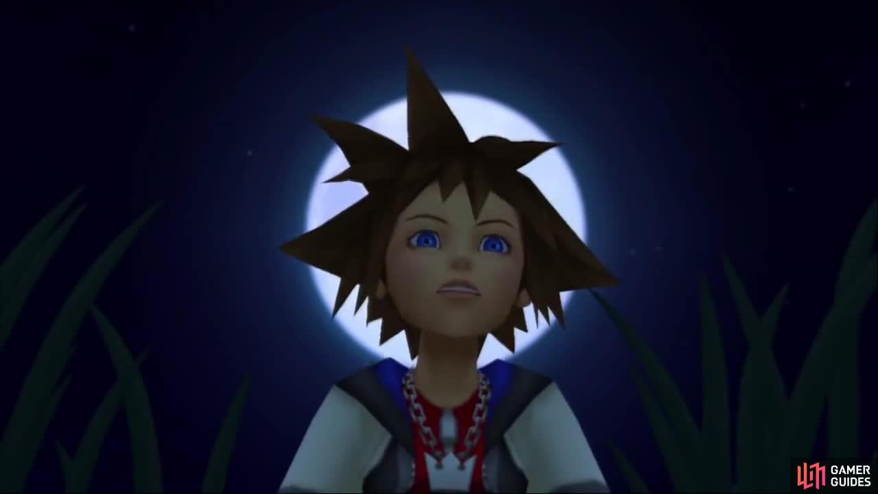 Sora is a Keyblade master on a journey to find his friends.