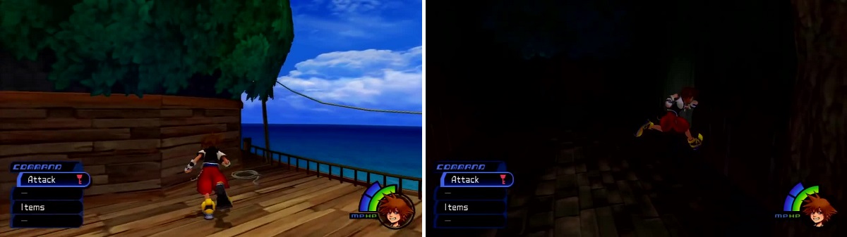 Head up to where Tidus is to find the Rope (left). Up in the treehouse you will find the Cloth on the wall (right).