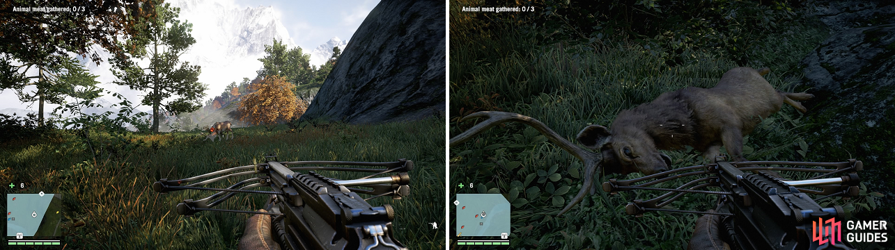 Using the required weapon, kill the animals you need and skin them to get the meats.