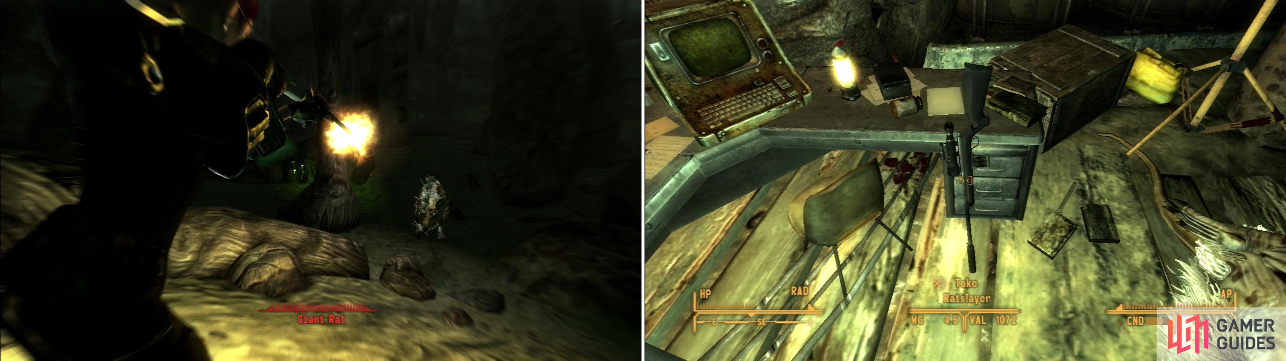 The Giant Rats in the Broc Flower Cave are stronger than usual (left), but you can get the unique Varmint Rifle, Ratslayer, inside (right).