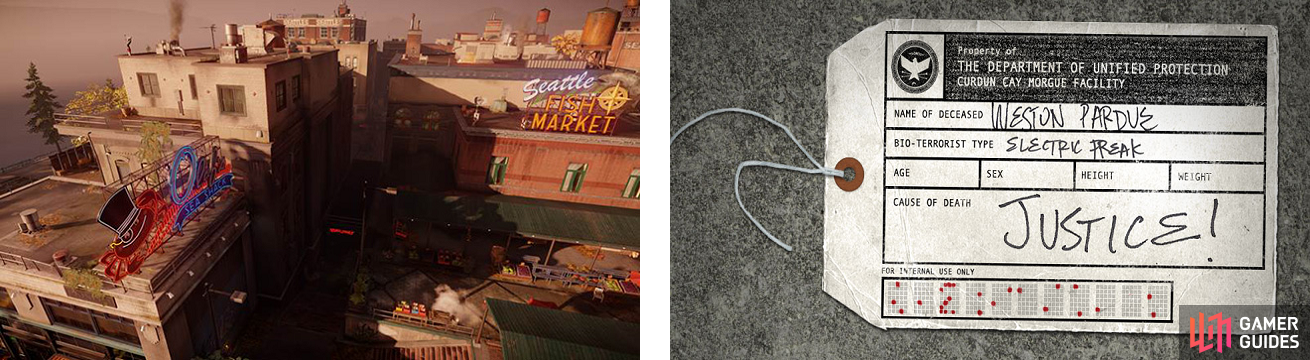 The image taken from the Lifeline forums (left) and a tag taken from one of the bodybags (right).