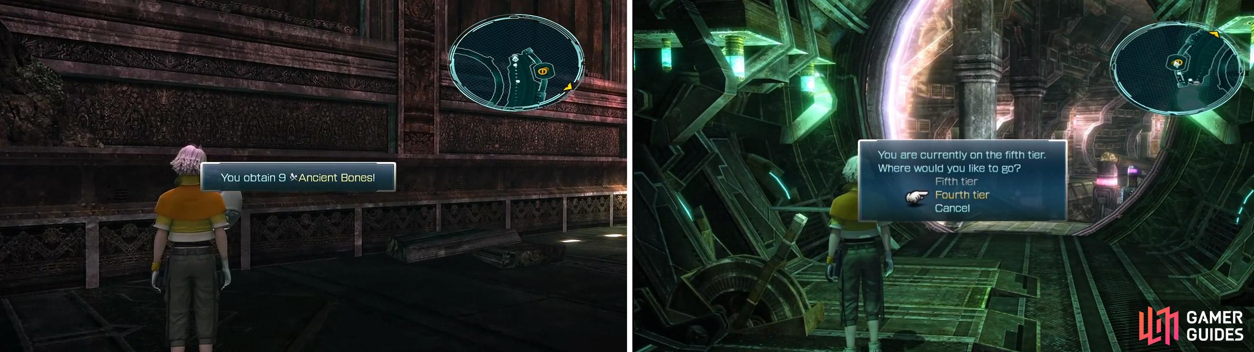 Ancient Bones x9 location (left) and the Elevator (right).