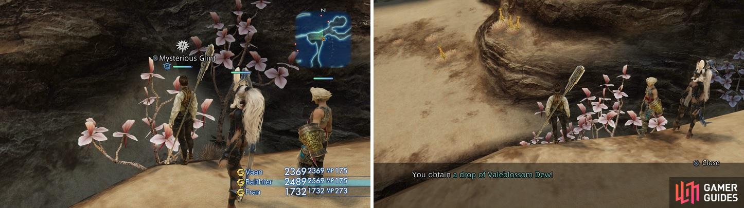 The Mysterious Glints you find near the pink plants (left) will yield the Valeblossom Dews you need for the Patient in the Desert sidequest (right).