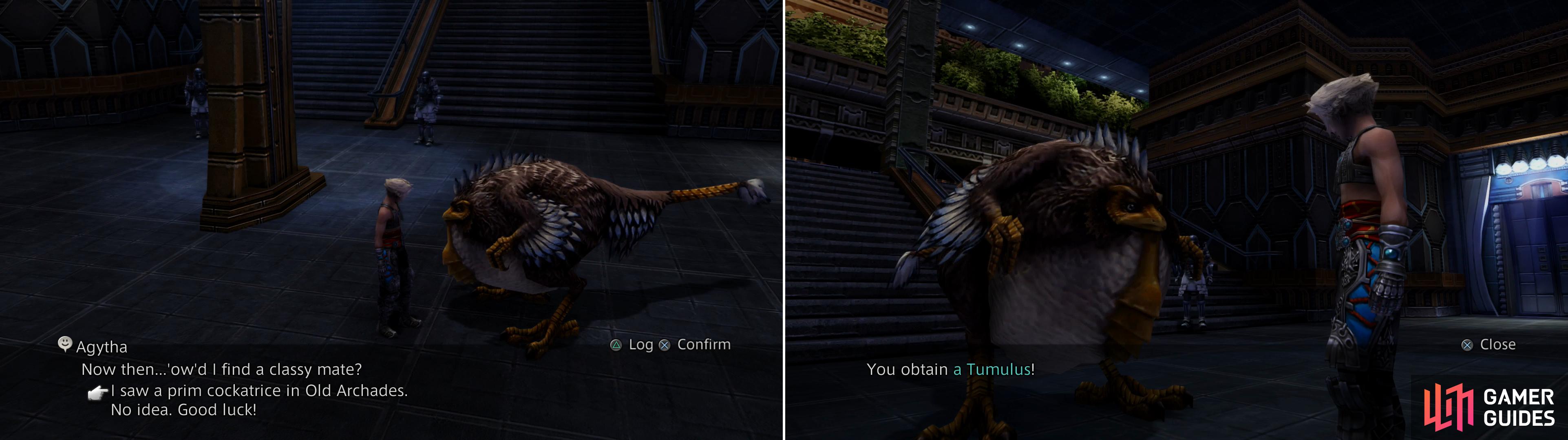 Chase down Agytha in the Grand Arcade and tell her about the Cockatrice you found in Old Archades (left) and she’ll give you a Tumulus (right).