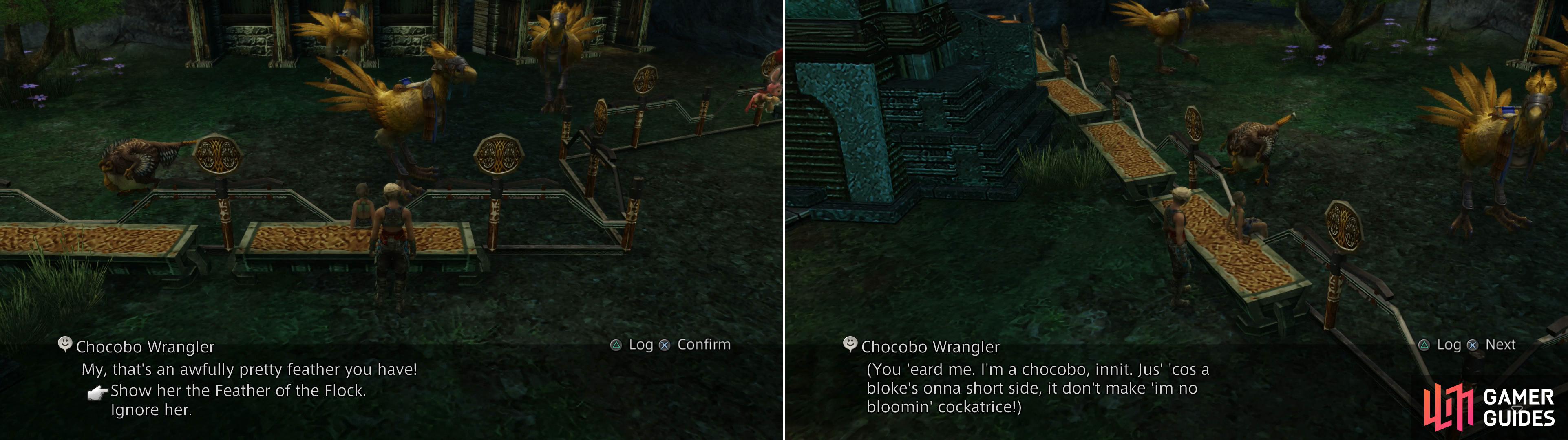 Show the Chocobo Wrangler the Feather of the Flock (left) after which you’ll overhear a rather odd “Chocobo” (right).