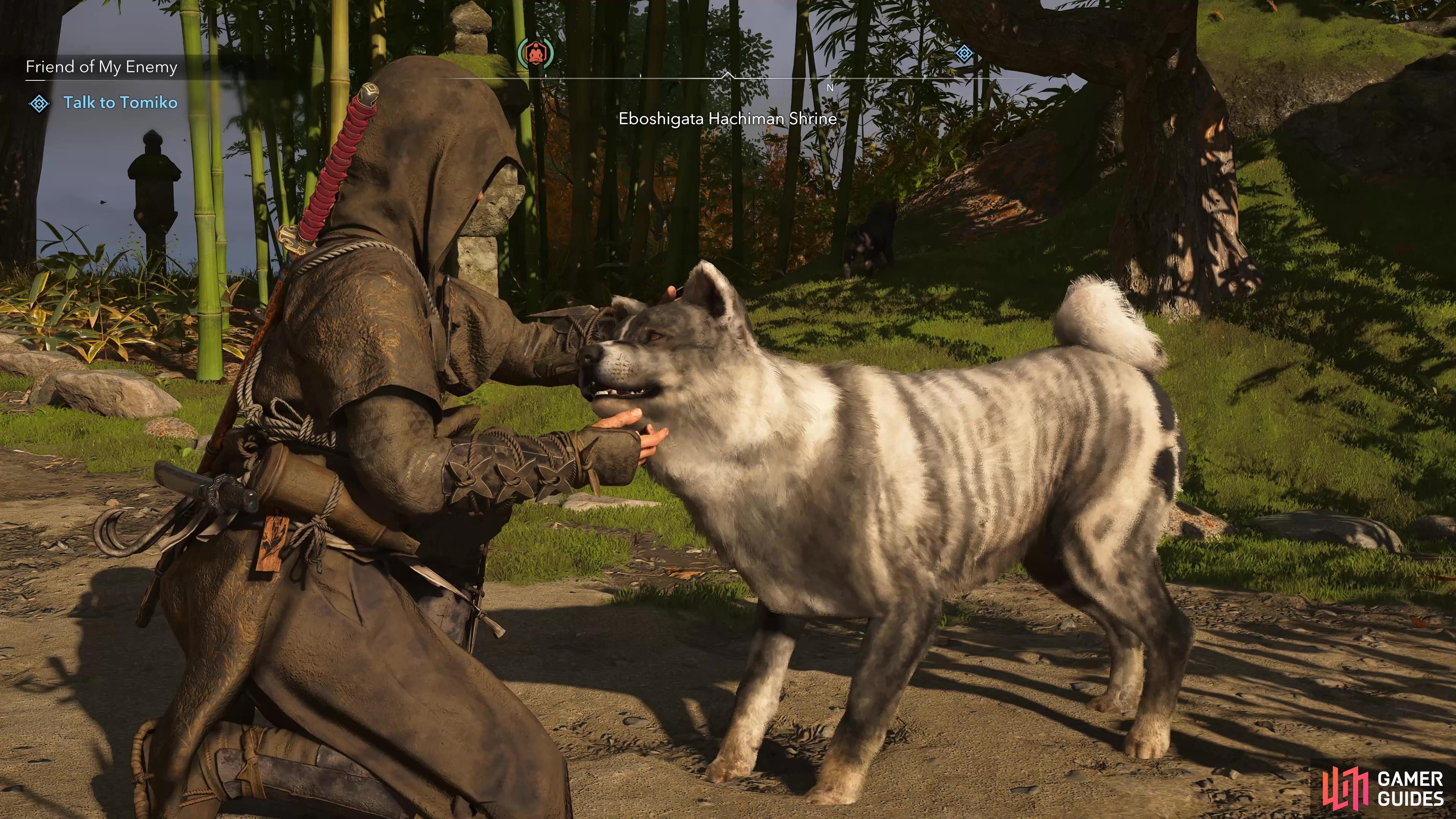 Best of all, you can pet dogs and adopt them from your Hideout.