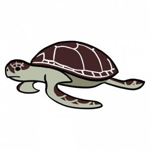 Sea Turtle - Tchia Database | Gamer Guides®