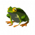 "Hot-Footed Frog" icon