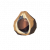 "Chickaloo Tree Nut" icon