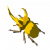 "Energetic Rhino Beetle" icon