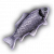 "Fish" icon