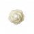 "Rose Bud" icon