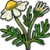 "Chamomile" icon