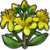 "St. John's wort" icon