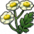 "Feverfew" icon